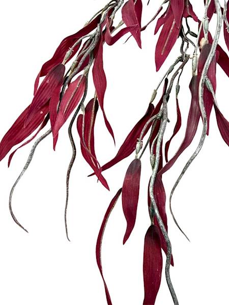 Bukiet wierzba 80 cm bordo