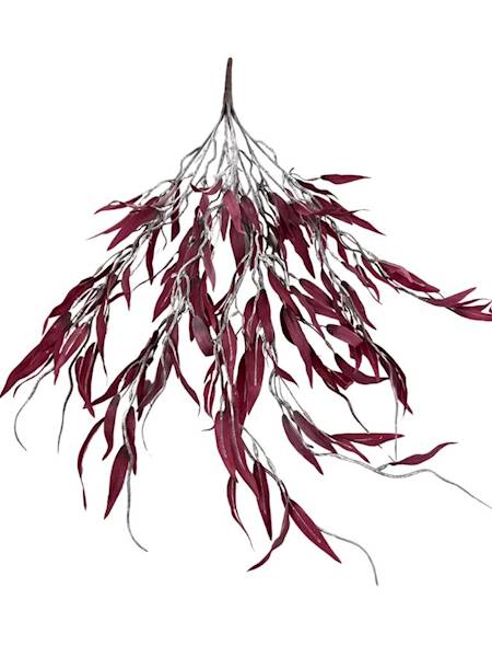 Bukiet wierzba 80 cm bordo