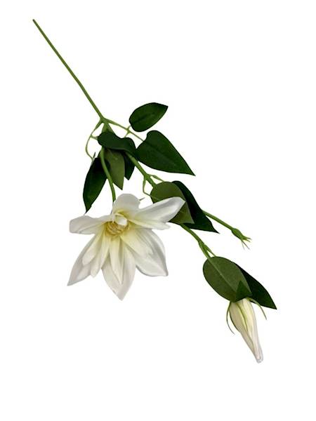 Klematis gałązka 48 cm kremowy