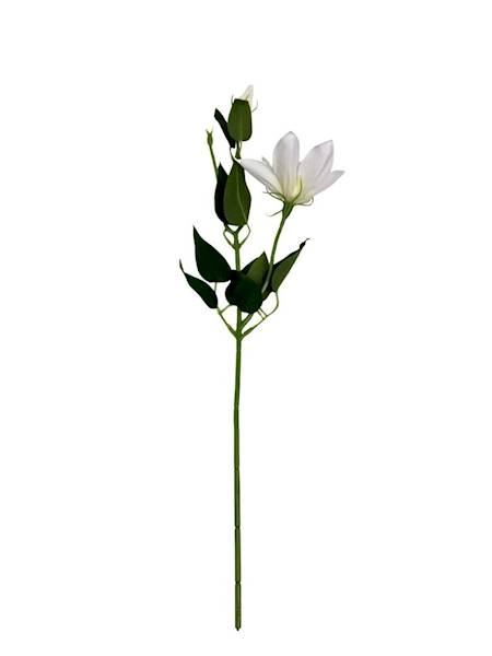 Klematis gałązka 48 cm kremowy