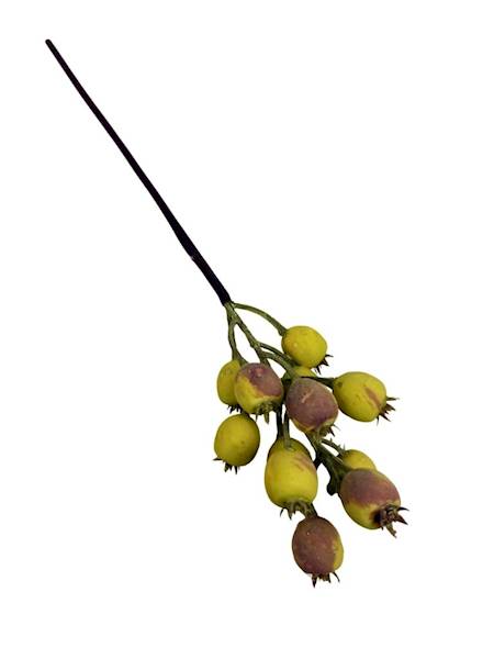 Dzika róża gałązka 38 cm żółta z brązem