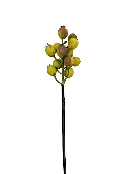 Dzika róża gałązka 38 cm żółta z brązem