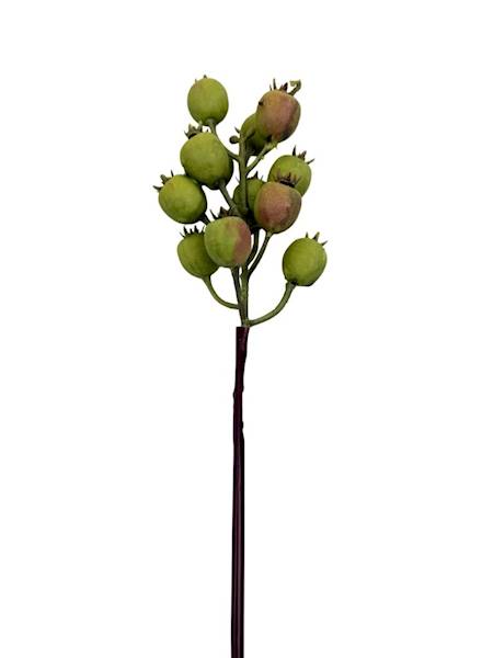 Dzika róża gałązka 38 cm zielona