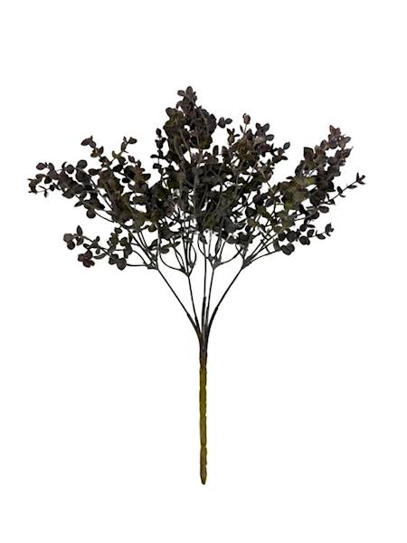 Bukiet eukaliptus 35 cm ciemno zielony