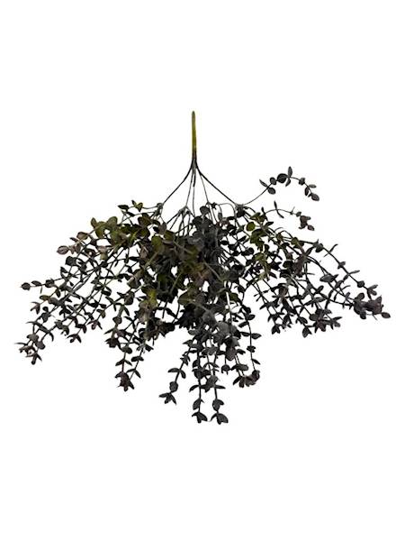 Bukiet eukaliptus 35 cm ciemno zielony