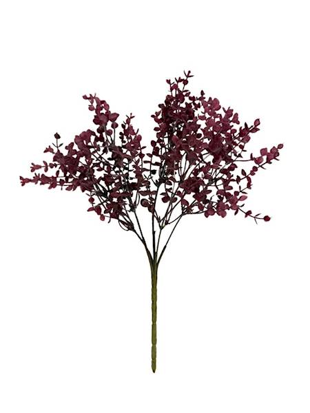 Bukiet eukaliptus 35 cm bordo