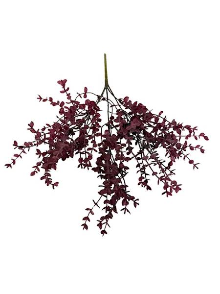 Bukiet eukaliptus 35 cm bordo