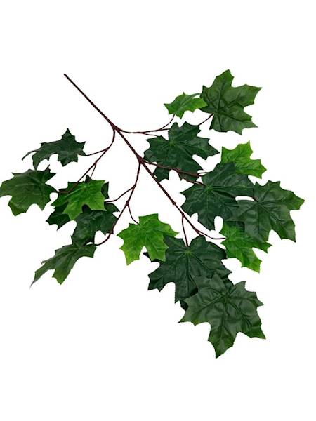 Liść klon duża gałązka 70 cm