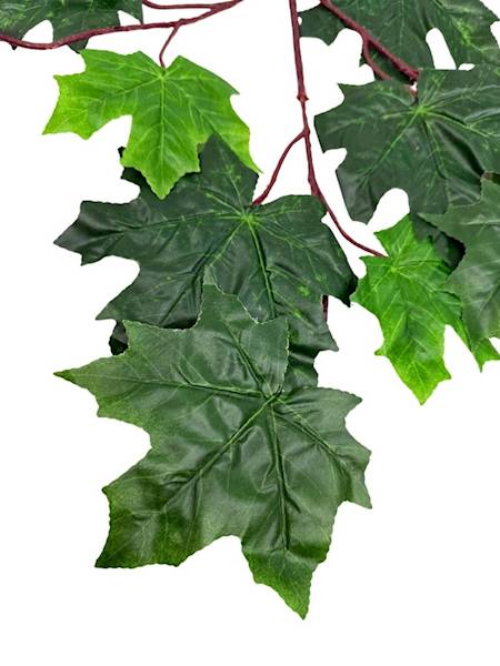 Liść klon duża gałązka 70 cm