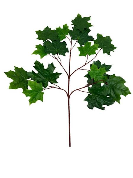 Liść klon duża gałązka 70 cm
