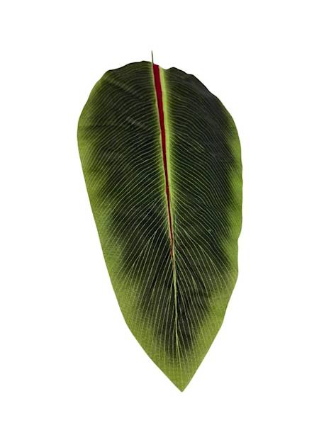 Liść bananowca gałązka 68 cm
