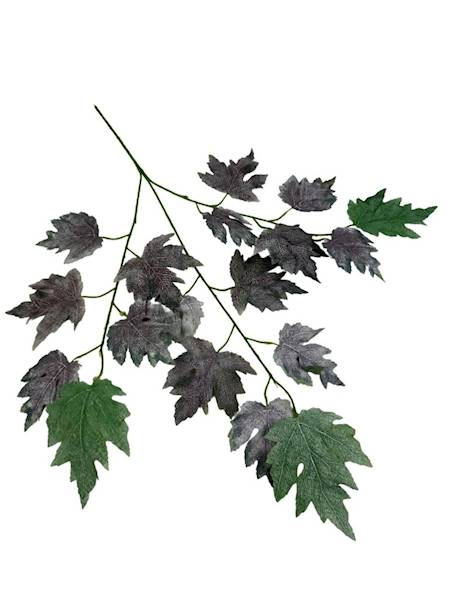 Liść klon duża gałązka 75 cm 