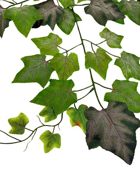 Liść winogrona gałązka 68 cm odcienie zielonego