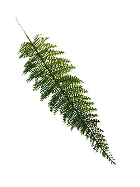 Liść paproć gałązka 46 cm zielona