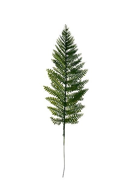 Liść paproć gałązka 46 cm zielona