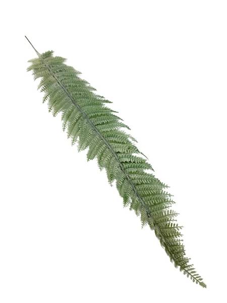 Liść paproci długi 70 cm biało zielony