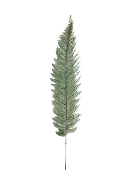 Liść paproci długi 70 cm biało zielony