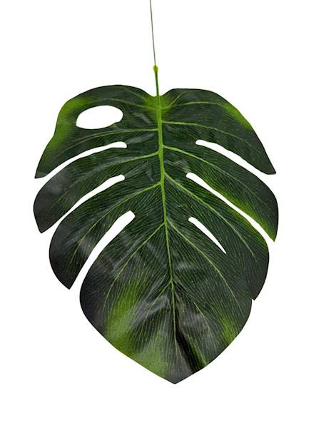 Liść monstera gałązka 61 cm