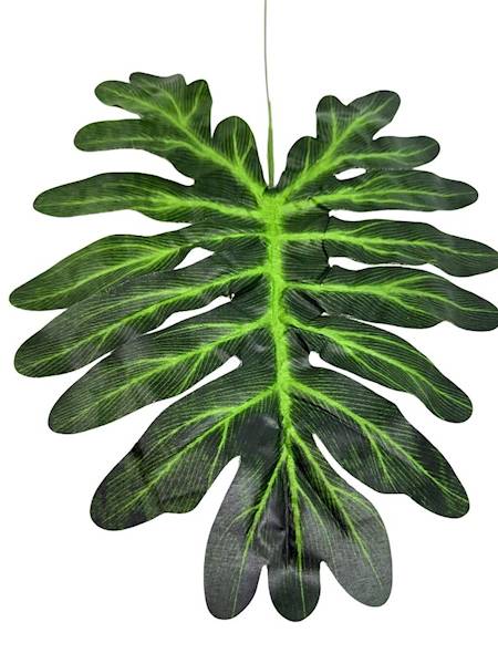 Liść filodendron gałązka 58 cm