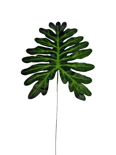 Liść filodendron gałązka 58 cm