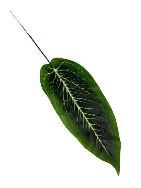 Liść difenbafia gałązka 48 cm