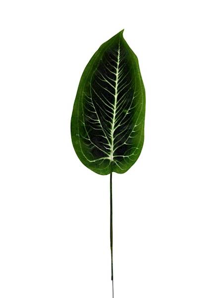 Liść difenbafia gałązka 48 cm