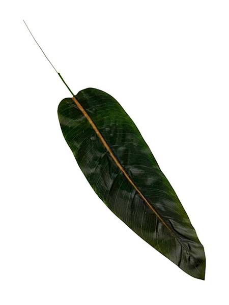 Liść bananowca gałązka 56 cm zielony