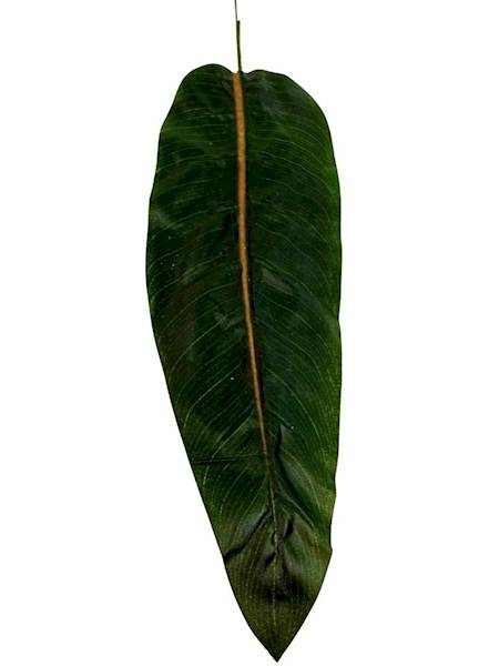 Liść bananowca gałązka 56 cm zielony