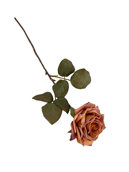 Róża gałązka 40 cm herbaciana z fioletem