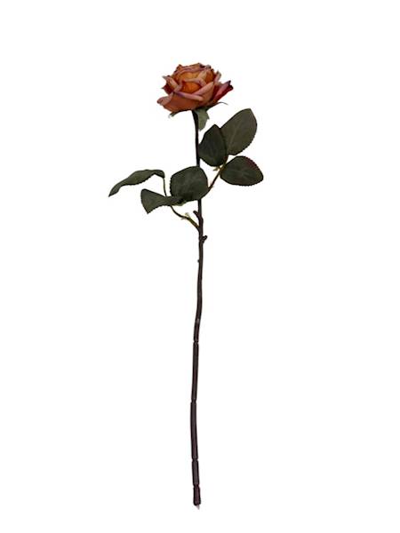 Róża gałązka 40 cm herbaciana z fioletem