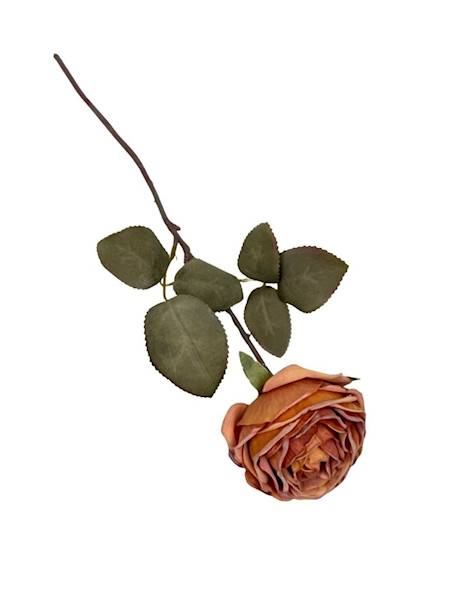 Róża kamelka gałązka 40 cm herbaciana