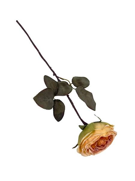 Róża kamelka gałązka 40 cm żółta