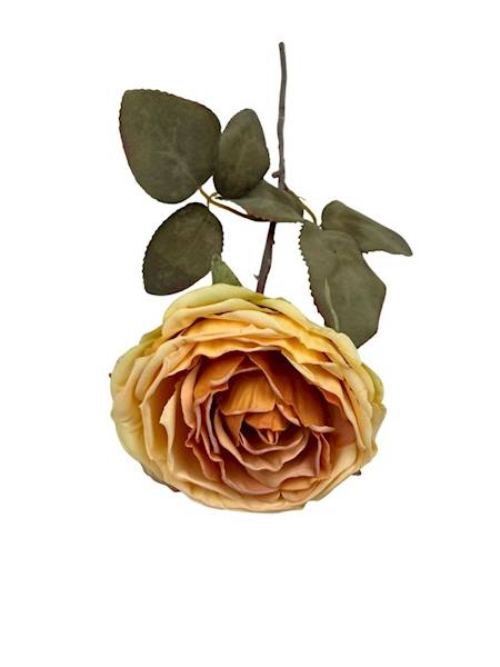 Róża kamelka gałązka 40 cm żółta