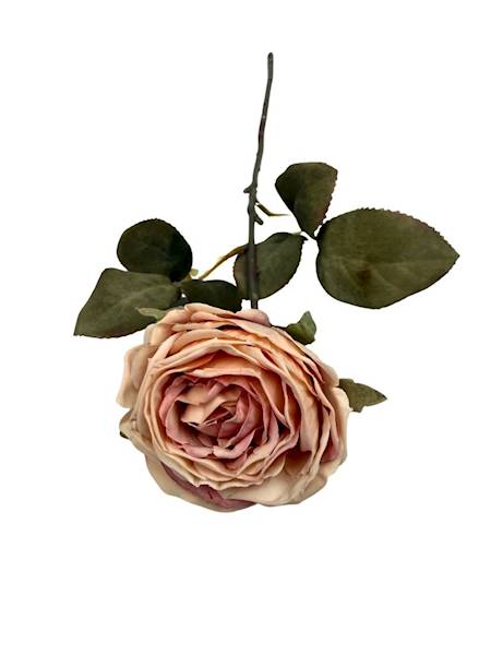 Róża kamelka gałązka 40 cm jasny róż