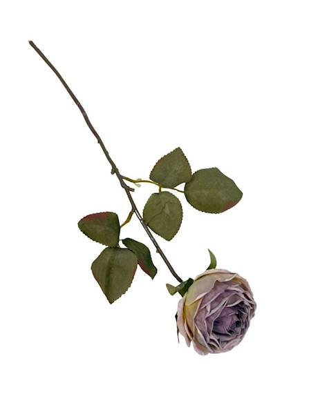 Róża kamelka gałązka 40 cm brudny fiolet