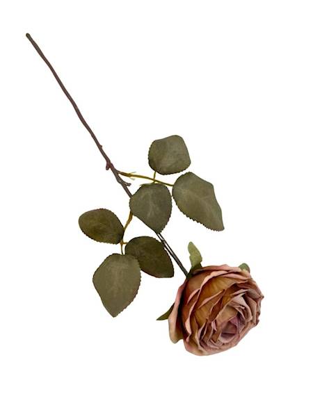 Róża kamelka gałązka 40 cm beż brąz
