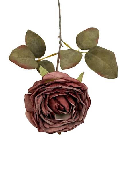 Róża kamelka gałązka 40 cm bordowa