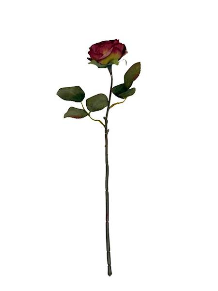 Róża kamelka gałązka 40 cm bordowa