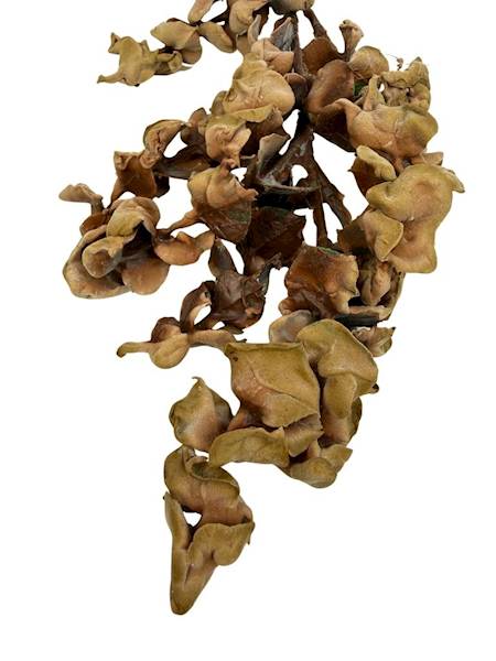 Gałązka gumowana jesienna 45 cm beż brąz