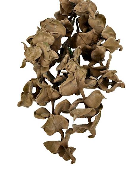 Gałązka gumowana jesienna 45 cm jasny brąz