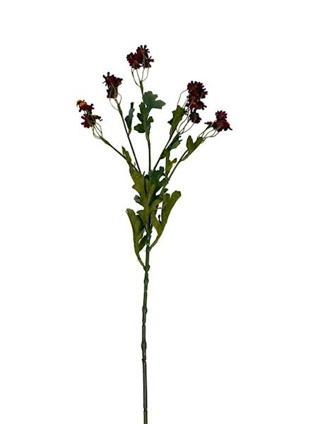 Margaretka rumianek gałązka 62 cm bordo
