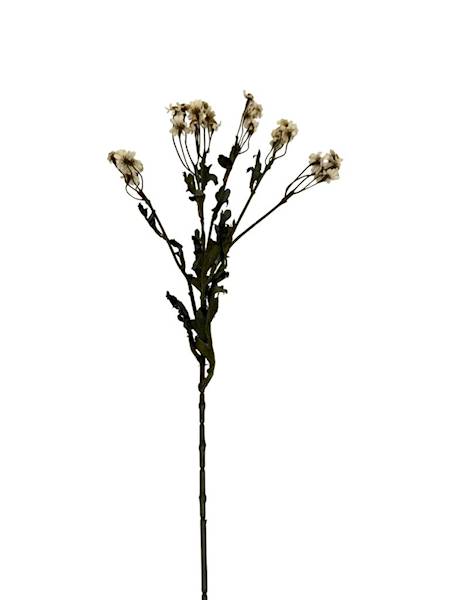 Margaretka rumianek gałązka 62 cm kremowa