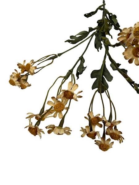 Margaretka rumianek gałązka 62 cm beż