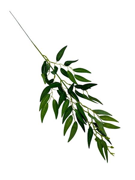 Ruskus gałązka 61 cm odcienie zieleni
