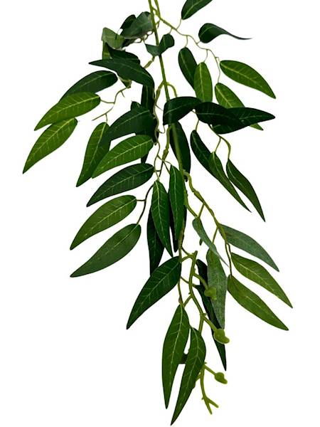 Ruskus gałązka 61 cm odcienie zieleni