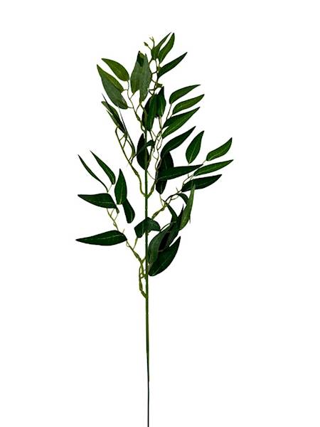 Ruskus gałązka 61 cm odcienie zieleni