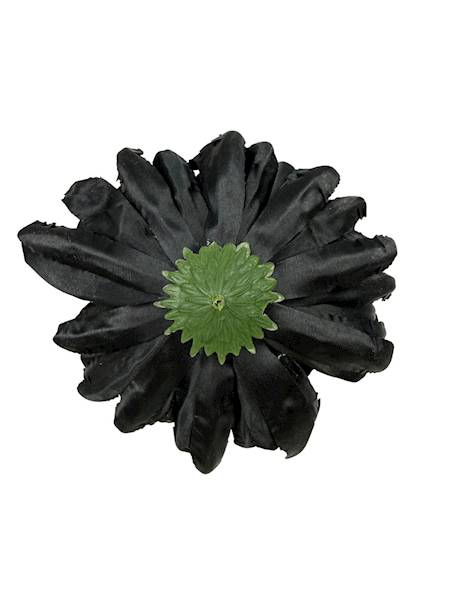 Chryzantema główka 11 cm czarna