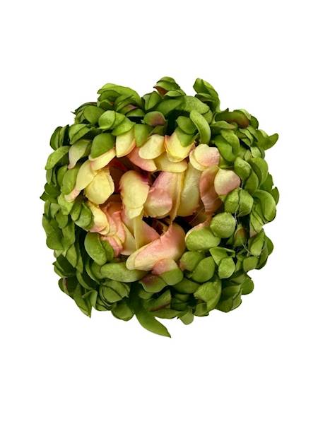 Chryzantema główka 11 cm zielona brzoskwiniowa