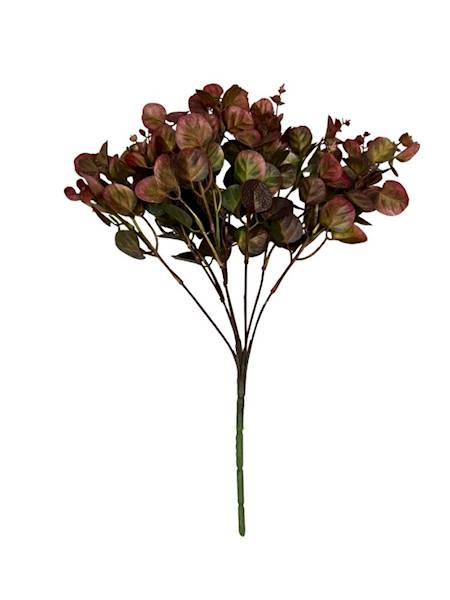 Bukiet eukaliptus 38 cm bordowy