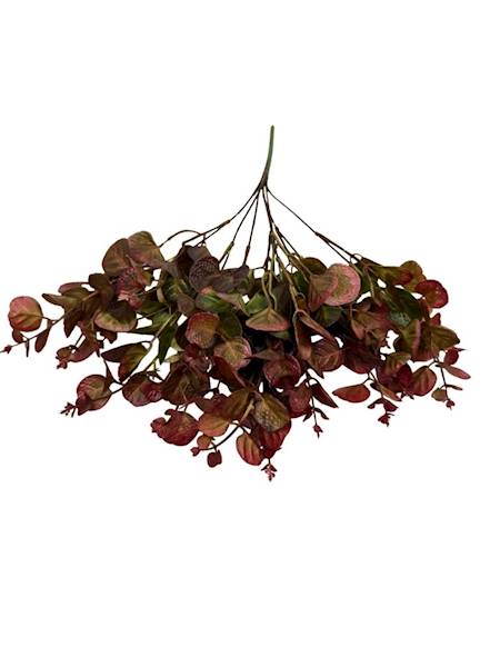 Bukiet eukaliptus 38 cm bordowy